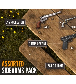 theHunter: Call of the Wild - Assorted Sidearms Pack DLC Steam Key GLOBAL